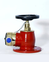 Fire Hydrants Valve 2" 1/2